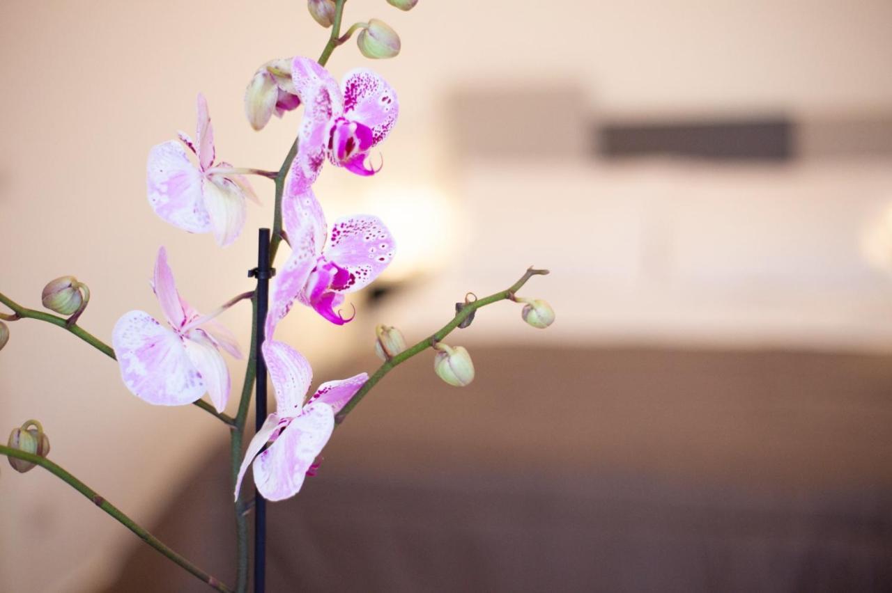 Casapaola B&B Rooms Acireale Kültér fotó